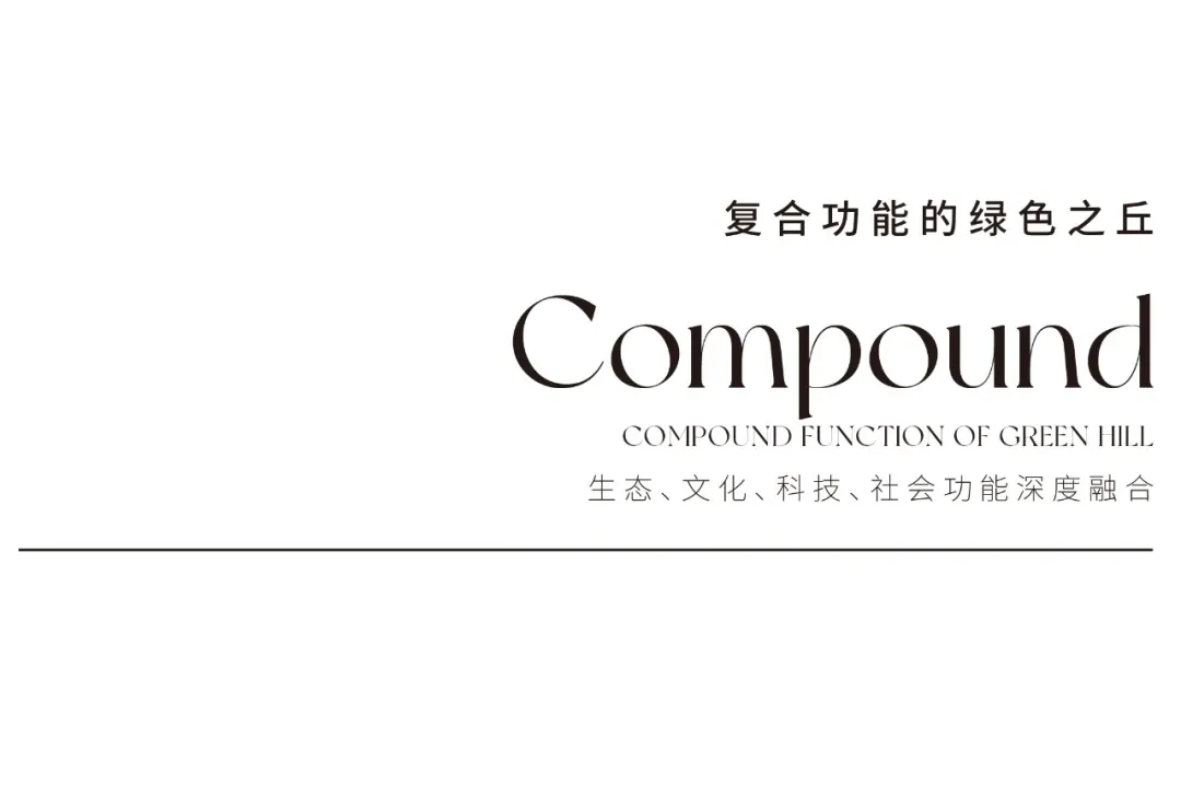 1734420006156566.jpg 1734420000894.jpg