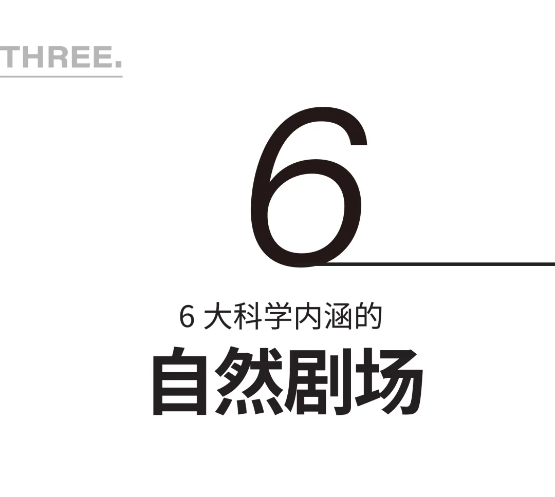 1734427650766313.jpg 1734427598988.jpg