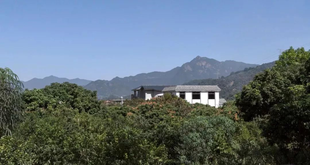 1734492616177619.jpg 1734492562682.jpg