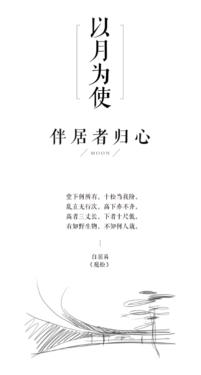 1735204975470490.jpg 1735204781334.jpg