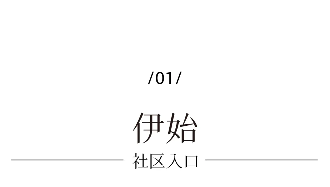 1736748991166825.jpg 1736748960047.jpg