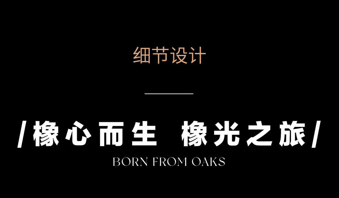 1736752663107830.jpg 1736752655662.jpg