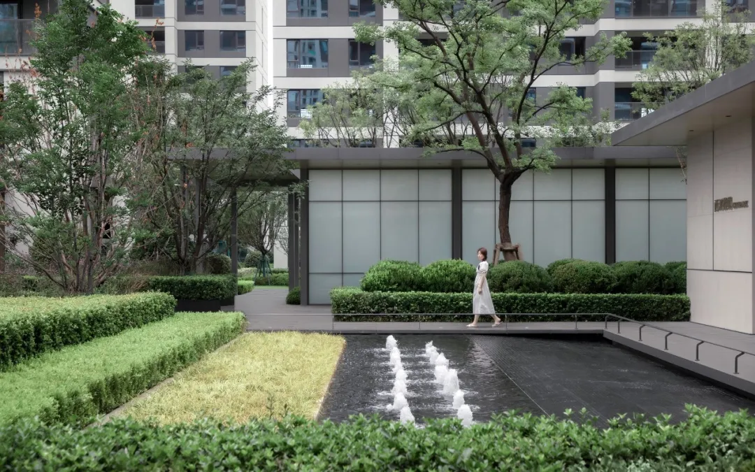 1736933766180874.jpg 1736933712813.jpg