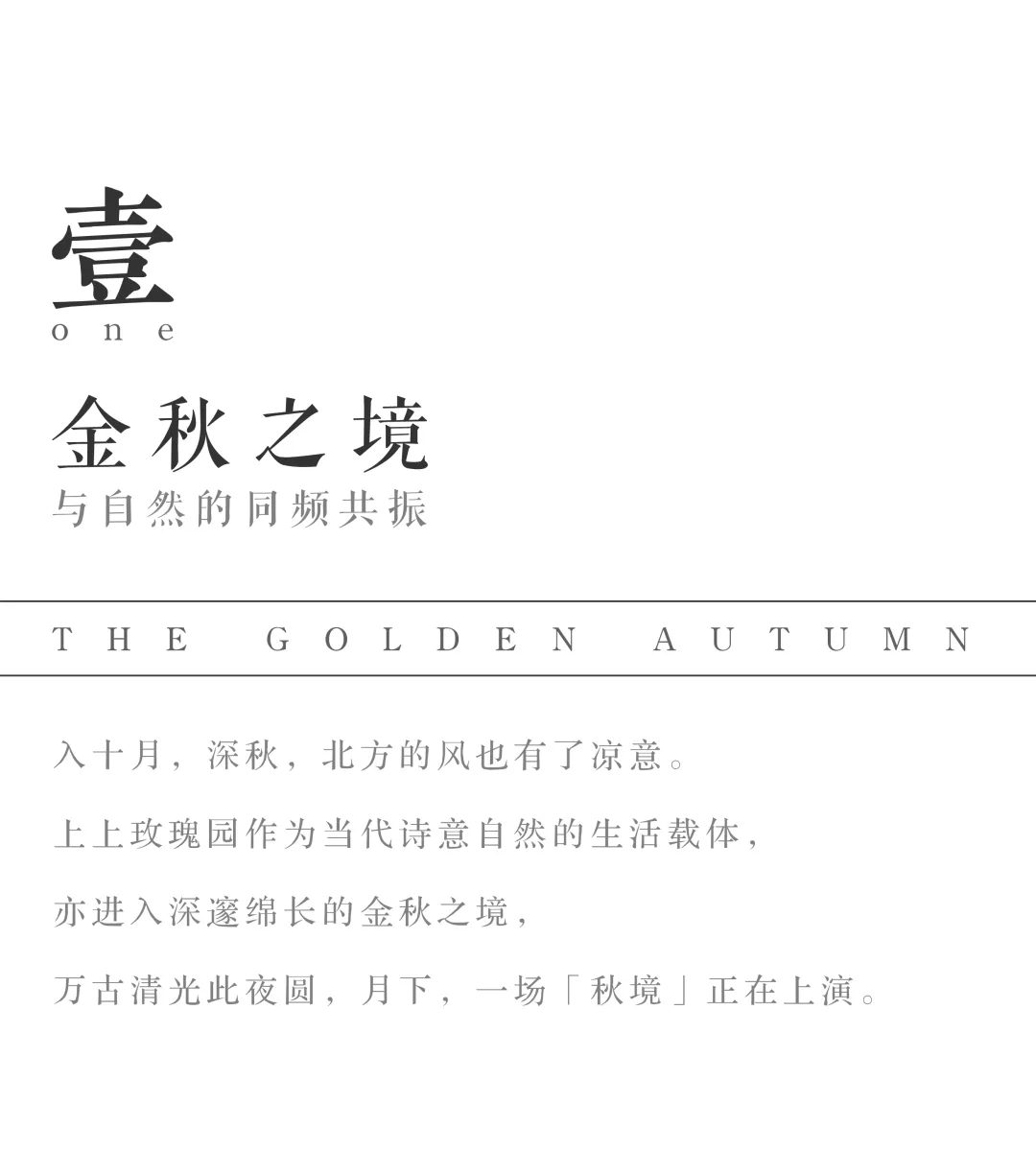 1737340855226303.jpg 1737340814093.jpg