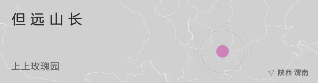 1737341399126420.jpg 1737341355265.jpg