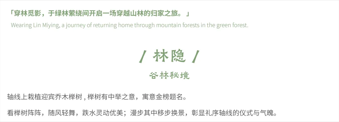 1737877530398867.jpg 1737877474638.jpg