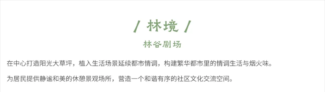 1737877624207492.jpg 1737877579307.jpg