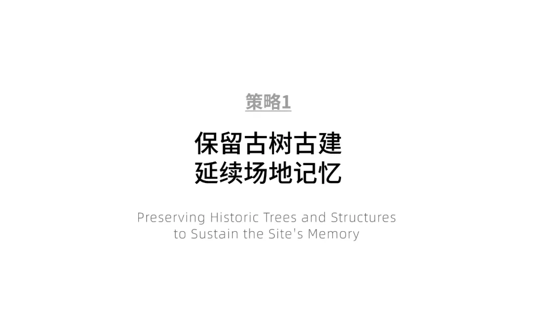 1741075707102409.jpg 1741075689828.jpg