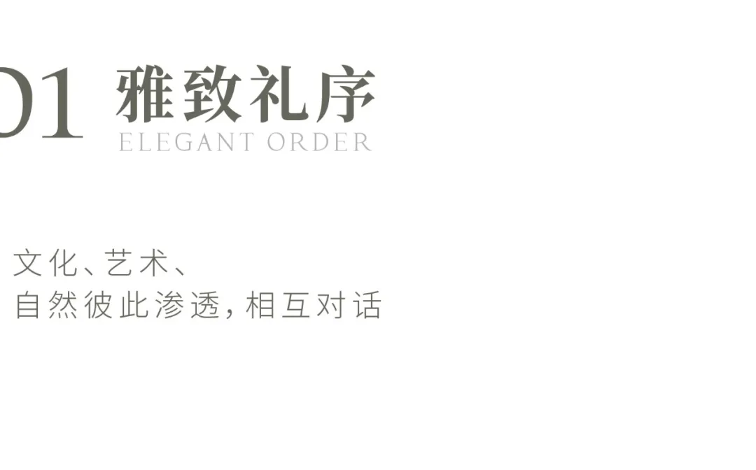 1741139666103838.jpg 1741139657422.jpg